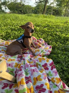 Samanta_Bigboos Picnic ,sum happy ☁️ Pic 9