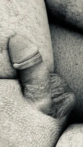 cumtributfan2025 Public Foto 3