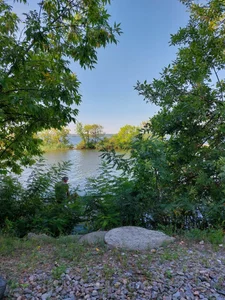 Arina_Bloom Public Pic 5