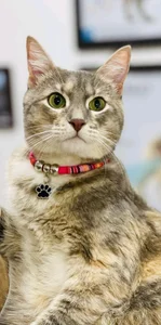 Roja_tentacion: Public ( 6 фото)