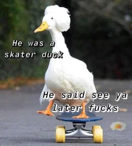 Public od YourBigDickFemmm  4 snímek