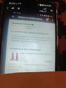 tslovetoys5 Mes commandes bloqué à la douane Εικόνα