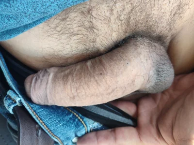 Vergadura590 Public Hình