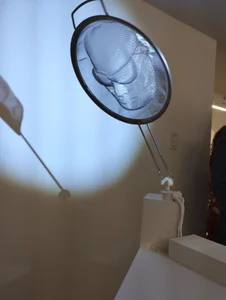 Tom_cooper_ Outdoor Pic 4