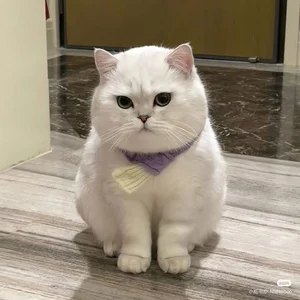 dreamybboy: Public ( фото)