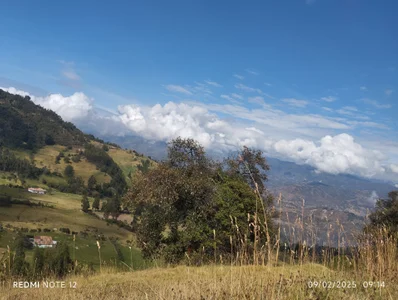 CharlotteSex_ NATURE🫶🏼🌄 Poză 4