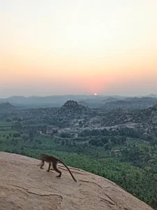 My life de Amber_Foks  2 photos