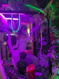 TinaDavil Cute mushroom Immagine  8