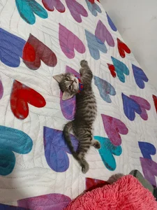 RyanyMax's photo