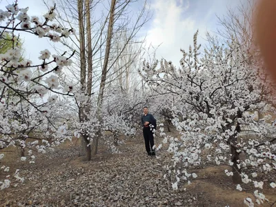 CDR6456 de cdr6456  3 Imagens