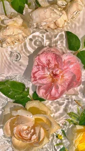 MargaritaKiss Public Pic 4