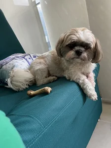 My big dream .. to have my little house ❤️🏠 de Miss_Pawi Foto 6