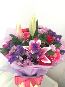 Piper-Lixx Public صورة واحدة|Piper-Lixx Public صورتان|Piper-Lixx Public  2 صور|Piper-Lixx Public  2 صورة