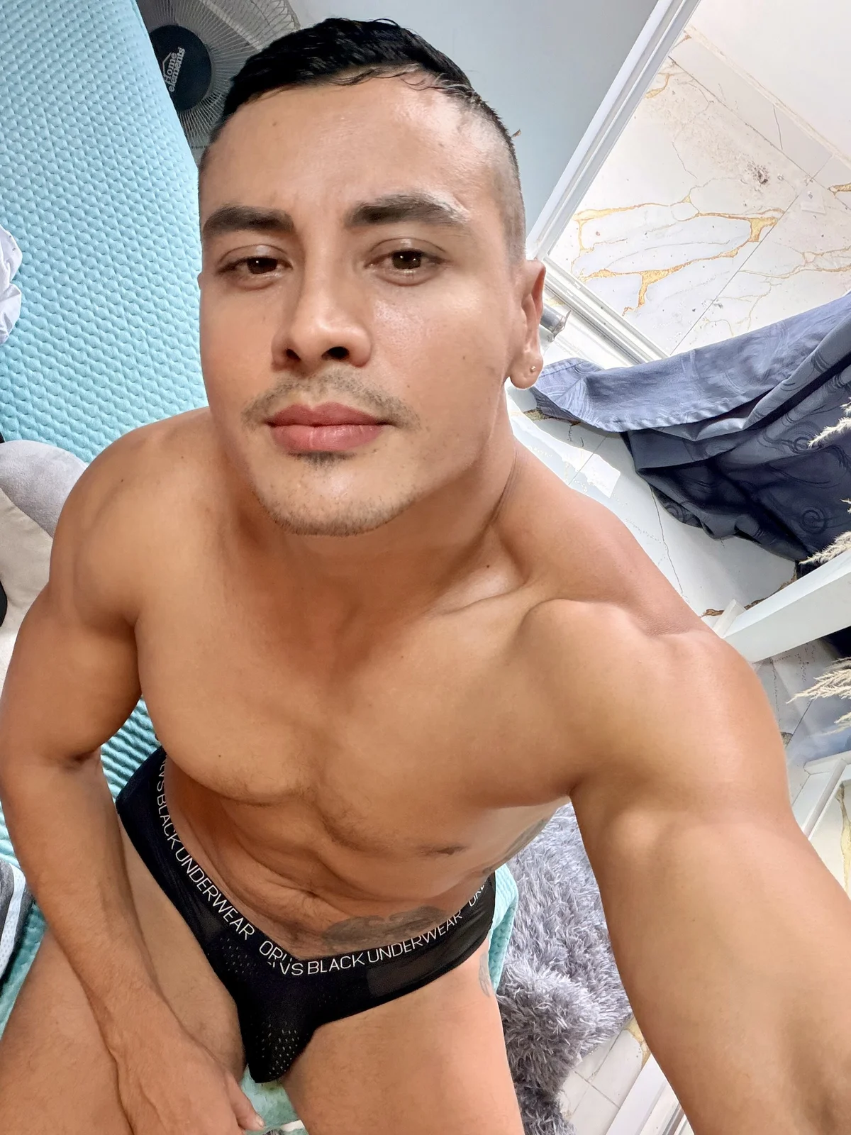 صور Paul22cm- الرائجة  4019