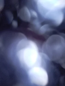 Yourwhitec0ck Public  3. fénykép