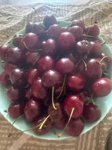 DolphinDreams Tasty and healthy Immagine  7