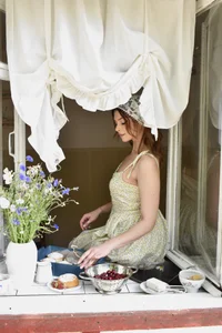 ContinentOfTranquilityHappy Housewife图片