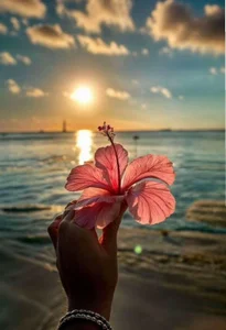 Isabella_Liz_ Public Bilde 3