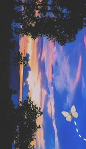 Public de Sophie_blossom69  6 Imagens