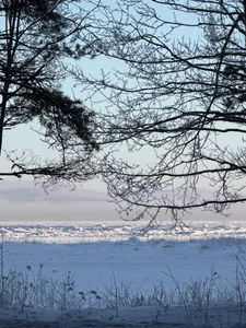 solar_bella Winter days صورة واحدة|solar_bella Winter days صورتان|solar_bella Winter days  5 صور|solar_bella Winter days  5 صورة