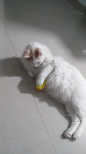 claryssa_ EPIC GOALS ACHIEVED♥ Foto 8