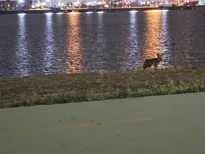 Jason_snow_winchesterPublic图片 5