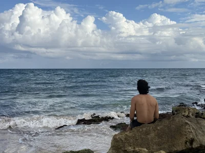 TaurusCrown Public รูป  3