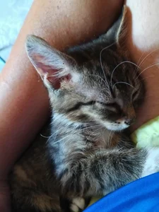 rainbow9028 About me Εικόνα 7