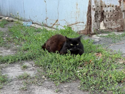 EmmaCherry7 heh Pic 2