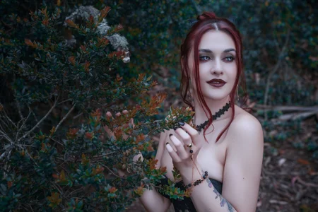 🖤 Midnight Bite de Flor_delunaa  6 Imagens