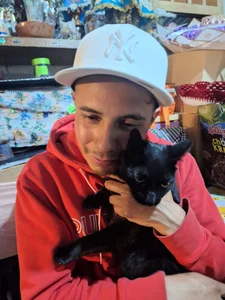 Arcangel_1991 Public Εικόνα 3