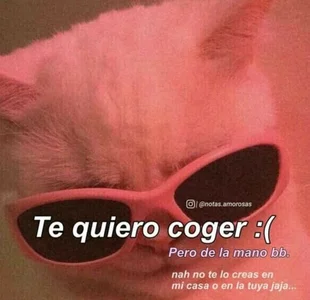 incognimeow MEME MEOW Foto 2