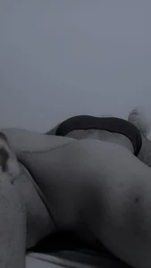 Public de MrWilliseo  3 photos