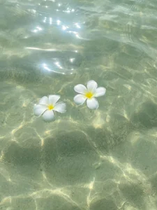 xxxRanaxxx Public Foto 5