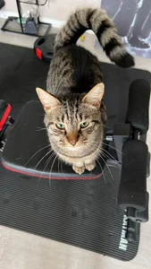 Dilfcam101のPublicの 6枚の写真