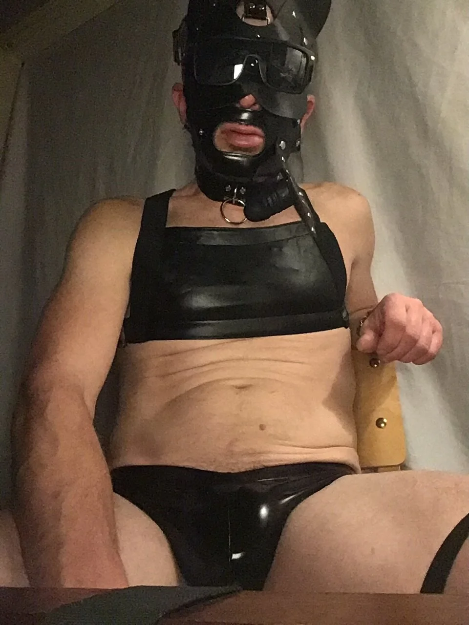 %{count, plural, one {תמונה טרנדית של Spanky6929} two {שתי תמונות טרנדיות של Spanky6929} many { 7264 תמונות טרנדיות של Spanky6929} other { 7264 תמונות טרנדיות של Spanky6929}}