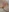 „Close-up" Lilly Pussy inside