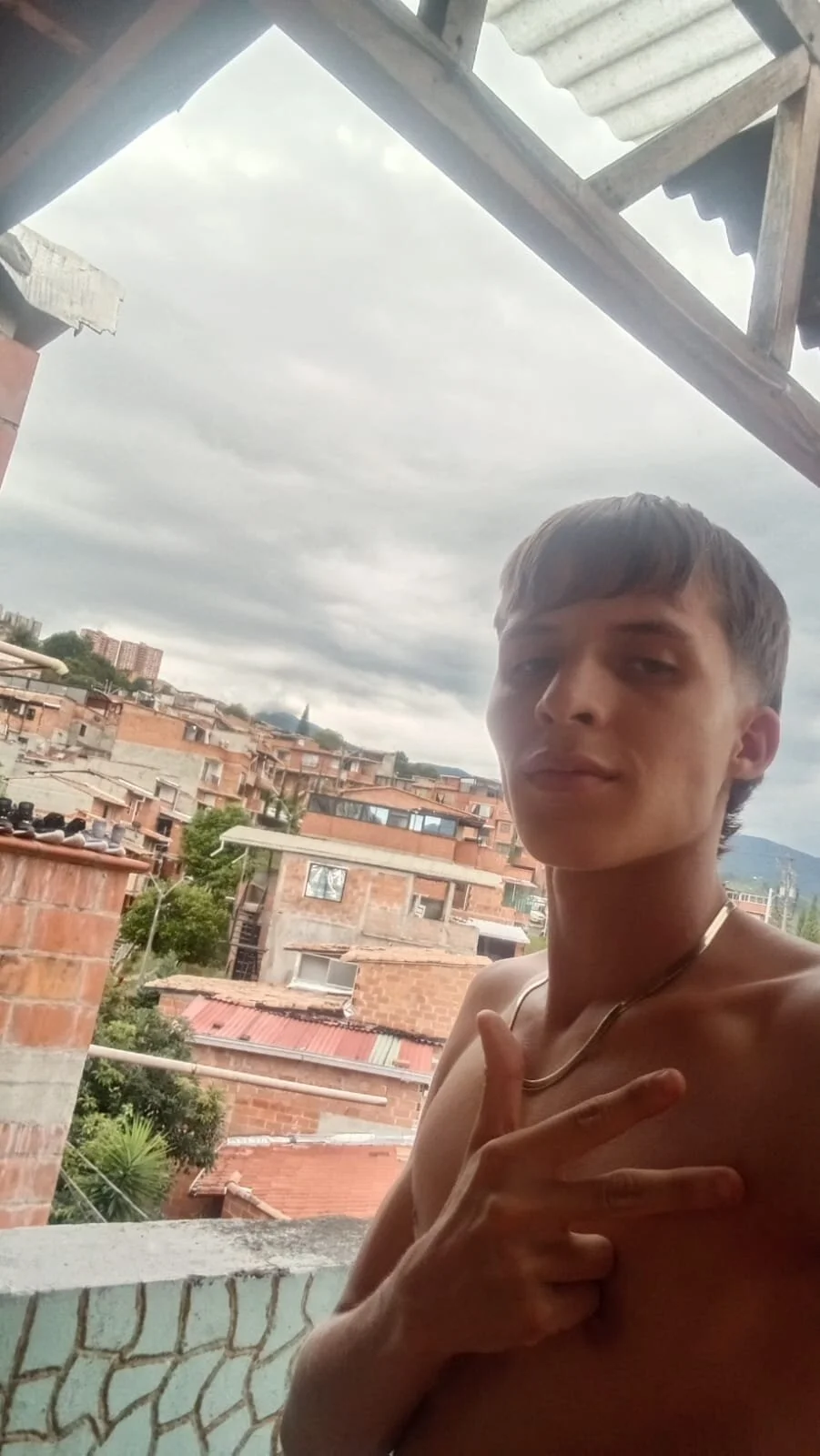 Pavo_tv  1520. kiemelt képe
