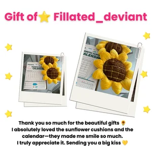 sofix__ Gifts from My Fans ✨ Pic 6