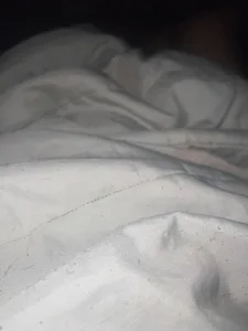 Public de boladeouro126  Imagens