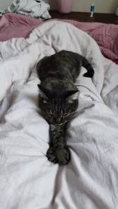 VandaRossi My favorite Splyushka😻 Splyushka will be glad of your financial support♥ Foto 9