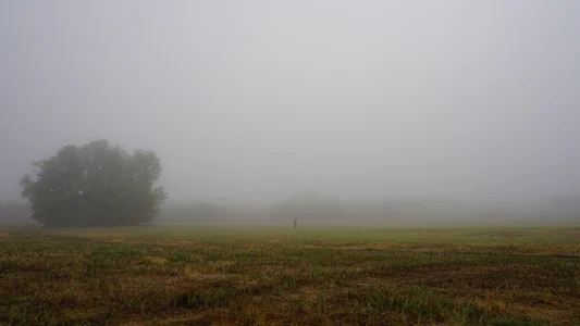 Feral_Berrry_ Public Pic