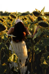 Bonnie_Naughtyy Golden hour and sunflowers are a beautiful combination. 🌻 Pic 6