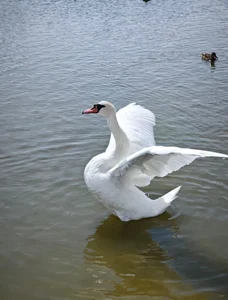 Klio5678 Sea 2 Pic 5