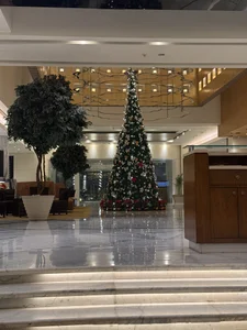 Your_School_Girl_ kullanıcısının Me albümü -  fotoğraf