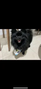 caroline_jonson Public รูป  9