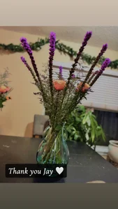 MarlaFknSinger 🌷 Breathtaking, thank you 💕 Immagine  4