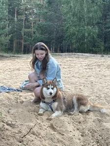 MiaVersePublic图片 4