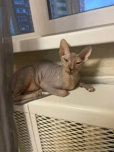 Taylor_Davids My live✨ slika 2