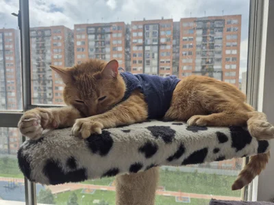 Miaa_gh1 😍😍 Pic 9